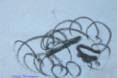 Chase-Thompson Chase-Thompson