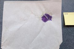 Ellie Hu - ASSIGNED TO ARTIST Ellie Hu - ASSIGNED TO ARTIST