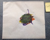 Juniper Jan-Herman - ASSIGNED TO ARTIST Juniper Jan-Herman - ASSIGNED TO ARTIST