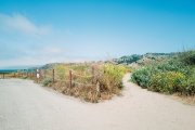 Pathways